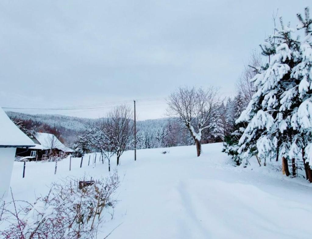 Beskidzka Oaza Targanice ภายนอก รูปภาพ